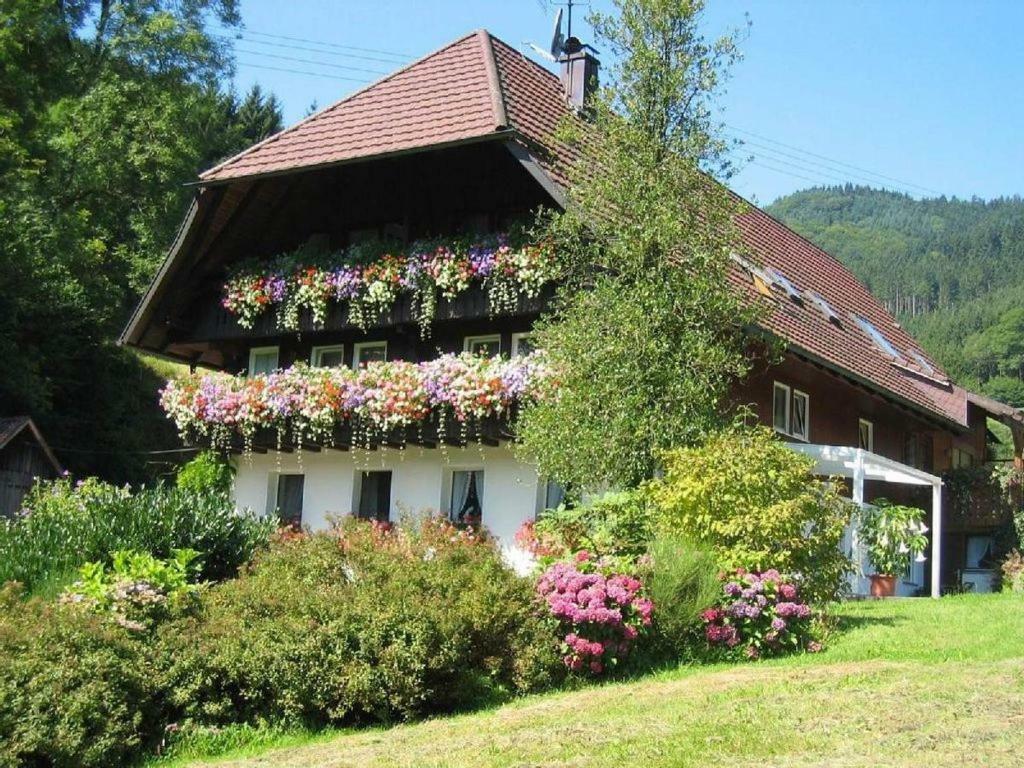 Ferienwohnung Haus Schneider Gutach Exterior foto